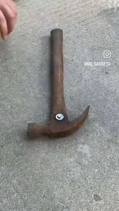 Carpenter tools shorts