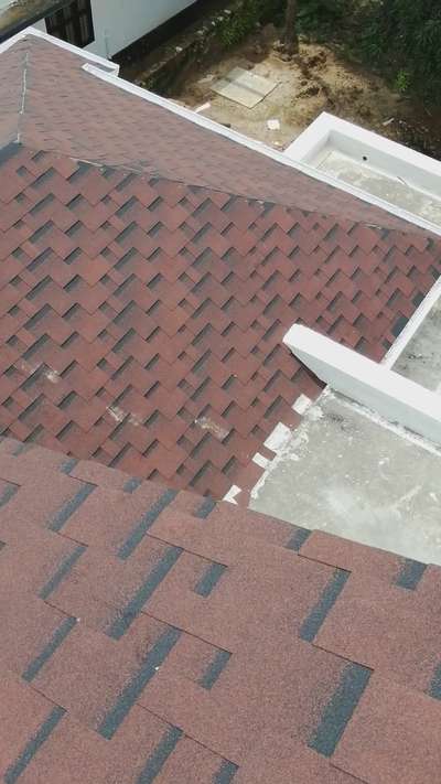 Roofing shingles
8129901508