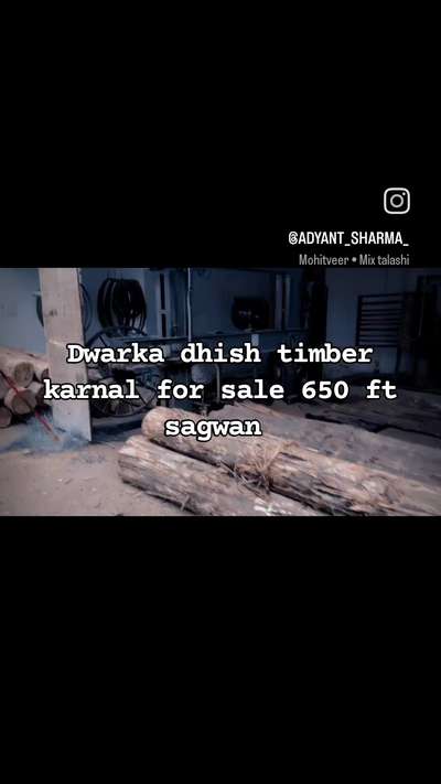 dwarka dhish associates timber karnal 
sagwan depot karnal indri road Village salaru 
hamare yahan per sagwan holsale rate per milati hai 
imported and Indian sagwan Deepu Karnal 
wholesale rate teak wood 
MP teak sagwan 
Haryana ka sabse bada Timber Karnal 
hamare yahan per har prakar ki lakadi milati hai 
Door ke liye best quality sagwan 
Haryana ka wholesale rate sagwan depot
Sudan sagwan Brazil sagwan Mexico sagwan everycost sagwan Tanzania sagwan Columbia sagwan 
hamare pass chaukhat ke liye sagwan Ka Bala milta hai aur chira hua Mal bhi milta hai 
#door
#sagwan 
#sagwandepotkarnal
#imported and Indian sagwan Deepu
#sagwan_doors  
sagwan resha 
MP teak Raisa 
imported sagwan resha 
sagwan ki sabse acchi lakadi 
#depot 
MP teak sagwan Deepu Kirti Nagar hamare pass sagwan ₹1700 cubic foot se shuru hoti hai