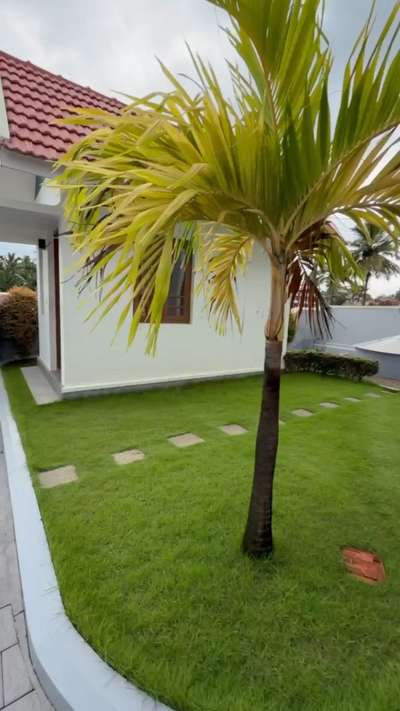 #GardeningIdeas  #LandscapeGarden  #maintanence  #aftereffects