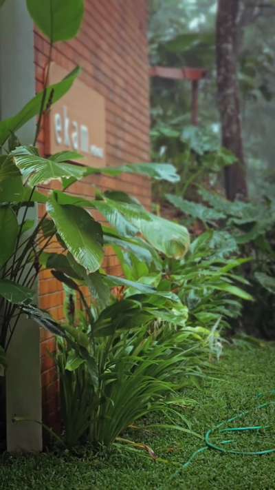 Completed resort at Trivandrum 
 #Architect #architecturedesigns #tropical #Landscape #earthy #naturelove #TraditionalHouse #brick #green #resort