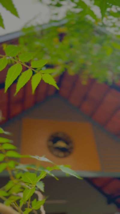 kerala traditional tropical house with a contemporary touch #KeralaStyleHouse #tropicalhouse