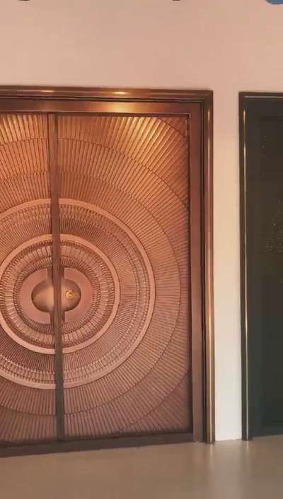 luxury doors 8111878186