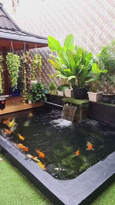 beautiful koi pond construction ✔️

follow us on insta @the_koi_partner 

📞9037560708 whtsapp 

Fishes All india delivery #koiponddesign #koipond #koicarp #koifish