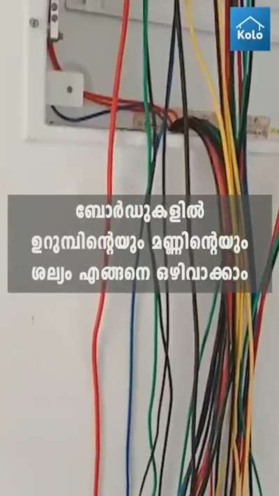 സ്വിച്ച് ബോർഡുകളിലെ ഉറുമ്പിന്റെയും മണ്ണിന്റെയും ശല്യം എങ്ങനെ ഒഴിവാക്കാം ?
 #askexperts