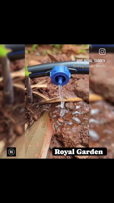 Drip Irrigation