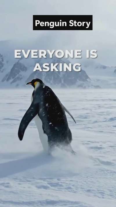 #TexturePainting  #Painter  #koloapp