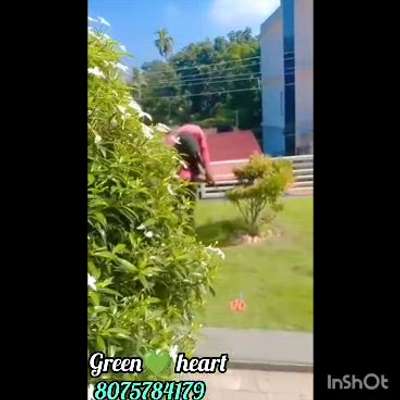 Green heart#Landscaping&stone work#vertical garden&vegitable garden&fruits garden#monthly gardenmaintanence#deforesation(കാട് വെട്ട് )#interior&Exterior Gardening